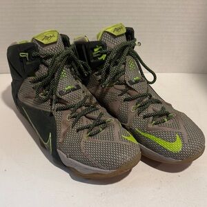 Nike Lebron Elite Basketball Shoes
